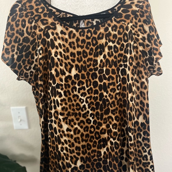 Express Top - Picture 3 of 3